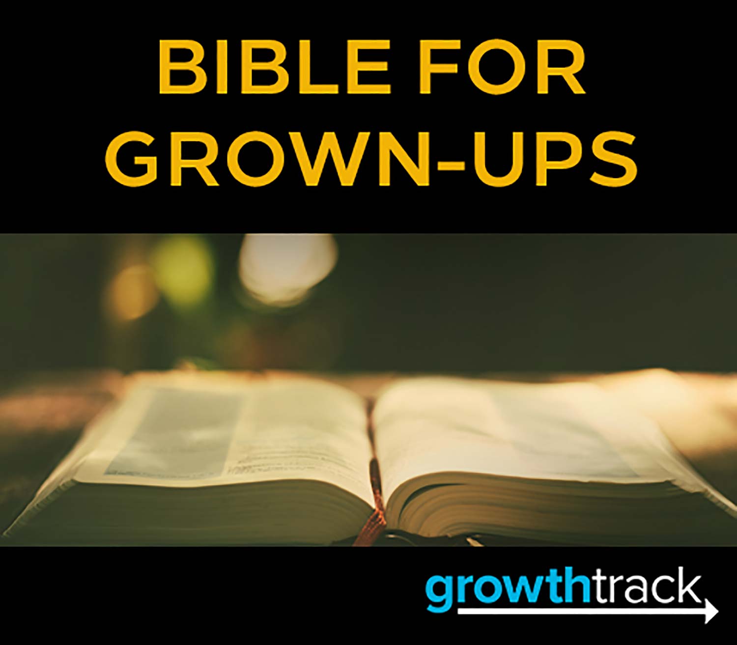 Bible for Grown Ups